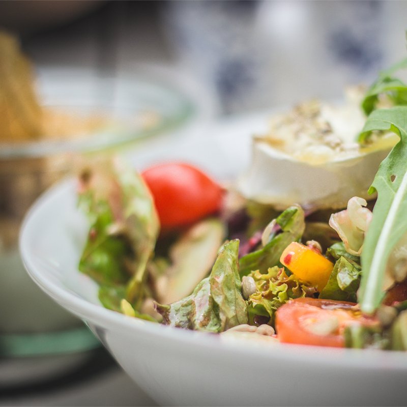 What is WordPress and How to Get Started on Your Own